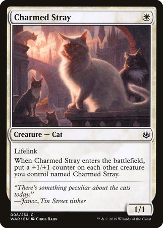 Charmed Stray [War of the Spark] | Exor Games Bridgewater