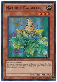 Naturia Ragweed [HA04-EN050] Super Rare | Exor Games Bridgewater