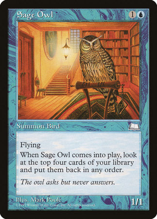 Sage Owl [Weatherlight] | Exor Games Bridgewater