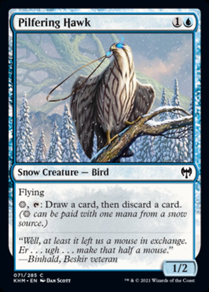 Pilfering Hawk [Kaldheim] | Exor Games Bridgewater