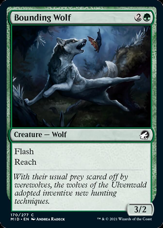 Bounding Wolf [Innistrad: Midnight Hunt] | Exor Games Bridgewater