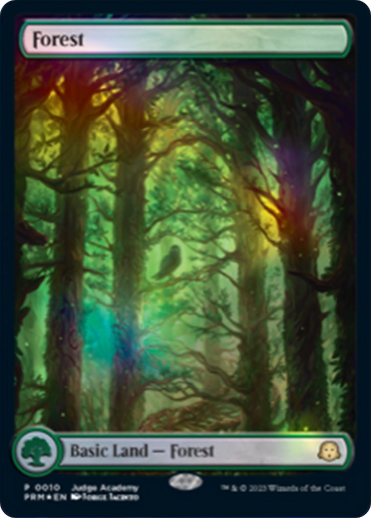 Forest [Judge Gift Cards 2023] | Exor Games Bridgewater