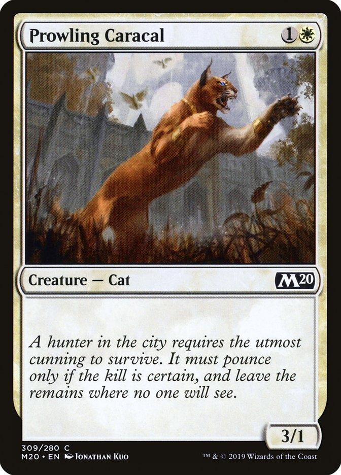 Prowling Caracal [Core Set 2020] | Exor Games Bridgewater