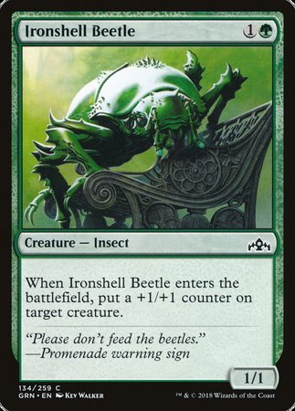 Ironshell Beetle [Guilds of Ravnica] | Exor Games Bridgewater