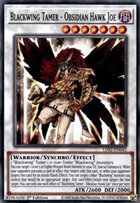 Blackwing Tamer - Obsidian Hawk Joe [LDS2-EN042] Common | Exor Games Bridgewater