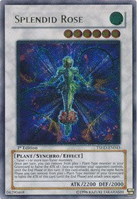 Splendid Rose (UTR) [TSHD-EN043] Ultimate Rare | Exor Games Bridgewater