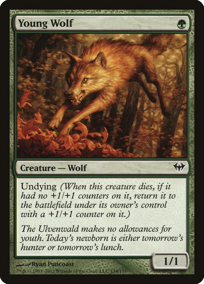 Young Wolf [Dark Ascension] | Exor Games Bridgewater