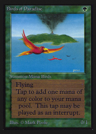 Birds of Paradise (CE) [Collectors’ Edition] | Exor Games Bridgewater