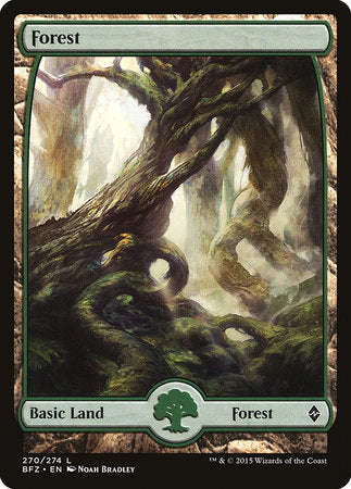 Forest (270) - Full Art [Battle for Zendikar] | Exor Games Bridgewater