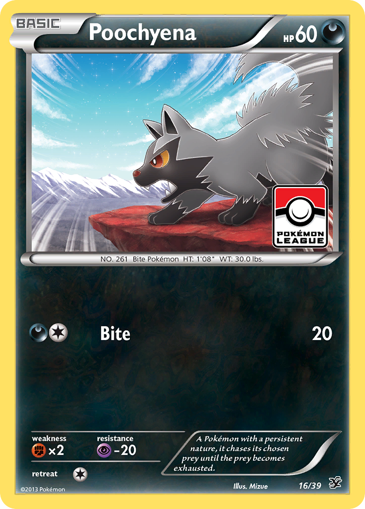 Poochyena (16/39) [XY: Kalos Starter Set] | Exor Games Bridgewater