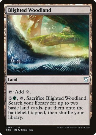 Blighted Woodland [Commander 2018] | Exor Games Bridgewater