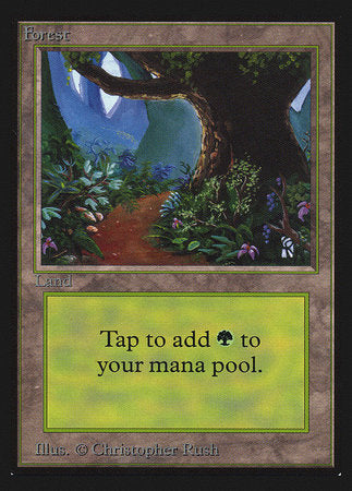 Forest (B) (CE) [Collectors’ Edition] | Exor Games Bridgewater