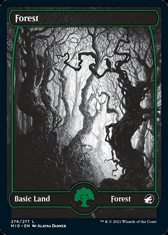 Forest (276) [Innistrad: Midnight Hunt] | Exor Games Bridgewater