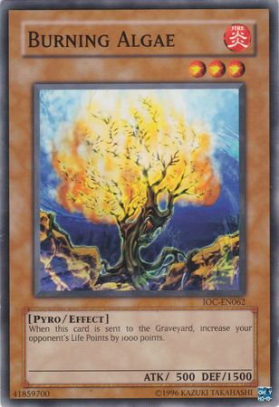 Burning Algae [IOC-EN062] Common | Exor Games Bridgewater