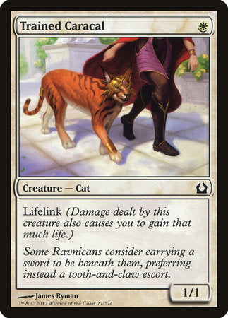 Trained Caracal [Return to Ravnica] | Exor Games Bridgewater