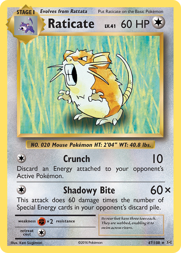 Raticate (67/108) [XY: Evolutions] | Exor Games Bridgewater