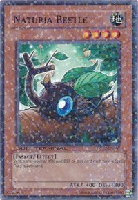 Naturia Beetle [DT02-EN007] Common | Exor Games Bridgewater