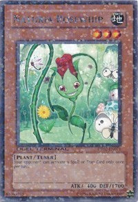 Naturia Rosewhip [DT02-EN071] Rare | Exor Games Bridgewater