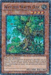 Naturia White Oak [DT04-EN081] Super Rare | Exor Games Bridgewater