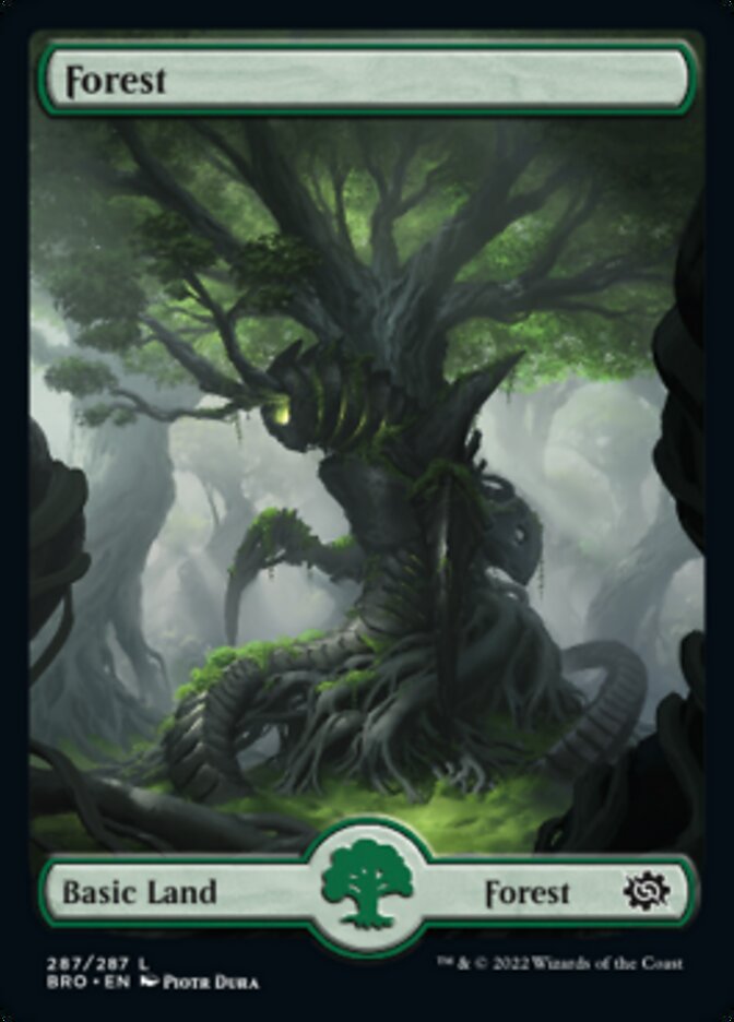 Forest (287) [The Brothers' War] | Exor Games Bridgewater