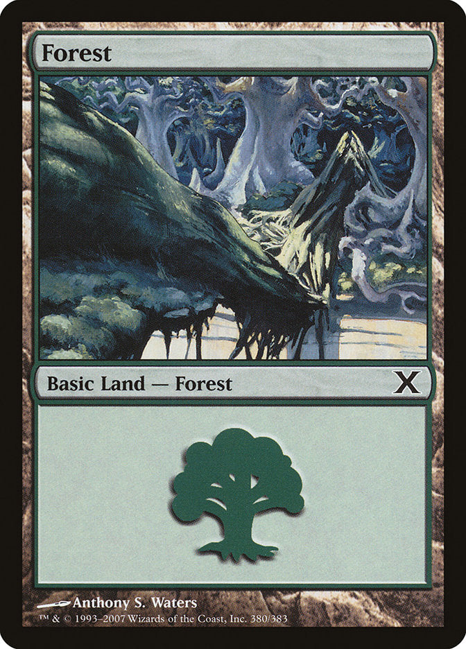 Forest (380) [Tenth Edition] | Exor Games Bridgewater