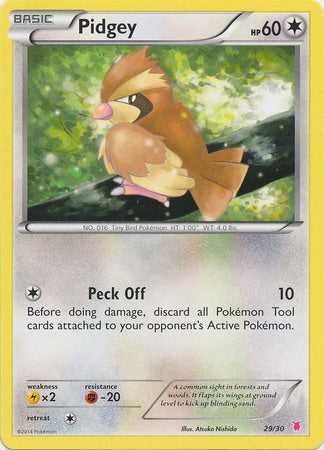 Pidgey (29/30) [XY: Trainer Kit 1 - Wigglytuff] | Exor Games Bridgewater