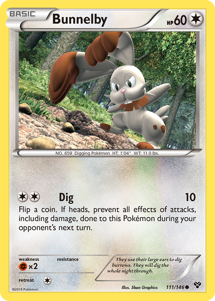 Bunnelby (111/146) [XY: Base Set] | Exor Games Bridgewater