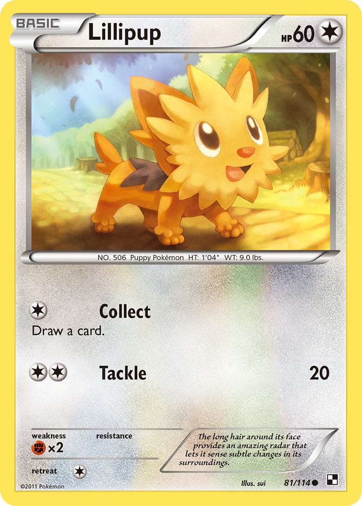 Lillipup (81/114) [Black & White: Base Set] | Exor Games Bridgewater