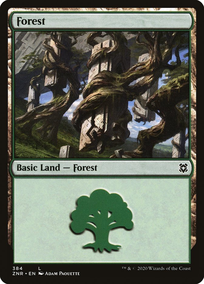 Forest (384) [Zendikar Rising] | Exor Games Bridgewater