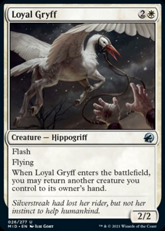 Loyal Gryff [Innistrad: Midnight Hunt] | Exor Games Bridgewater