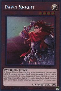 Dawn Knight [NKRT-EN016] Platinum Rare | Exor Games Bridgewater