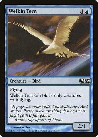 Welkin Tern [Magic 2013] | Exor Games Bridgewater