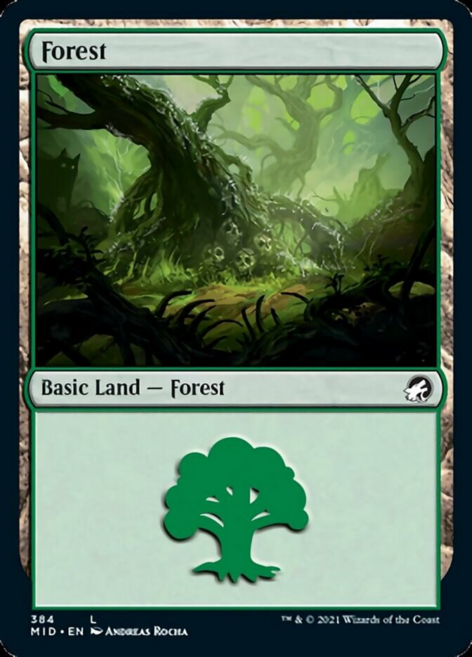 Forest (384) [Innistrad: Midnight Hunt] | Exor Games Bridgewater