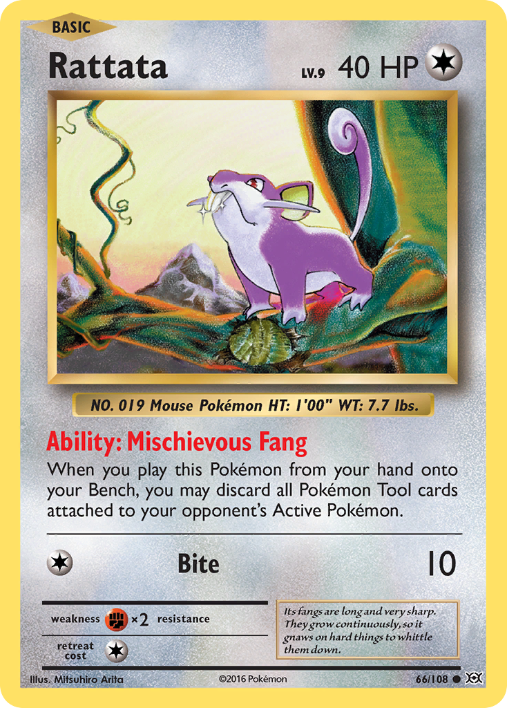 Rattata (66/108) [XY: Evolutions] | Exor Games Bridgewater