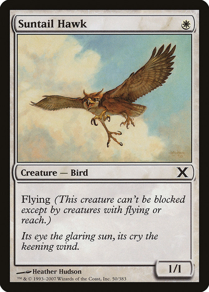 Suntail Hawk [Tenth Edition] | Exor Games Bridgewater