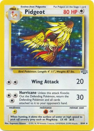 Pidgeot (8/64) [Jungle Unlimited] | Exor Games Bridgewater