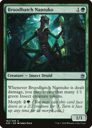 Broodhatch Nantuko [Masters 25] | Exor Games Bridgewater