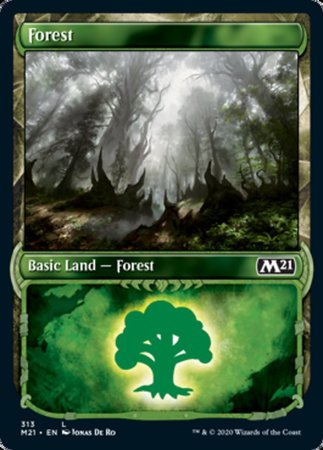Forest (Showcase) [Core Set 2021] | Exor Games Bridgewater