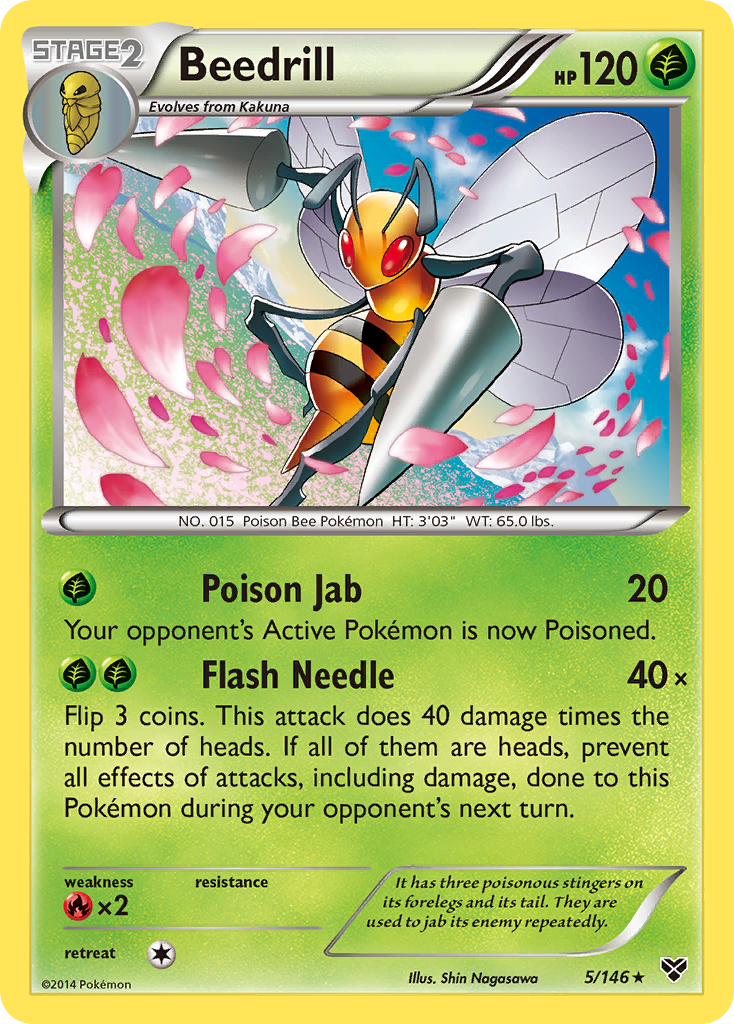 Beedrill (5/146) [XY: Base Set] | Exor Games Bridgewater