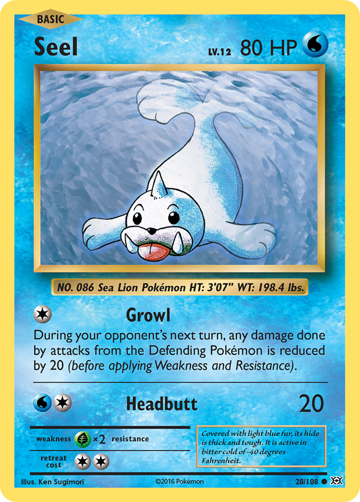 Seel (28/108) [XY: Evolutions] | Exor Games Bridgewater