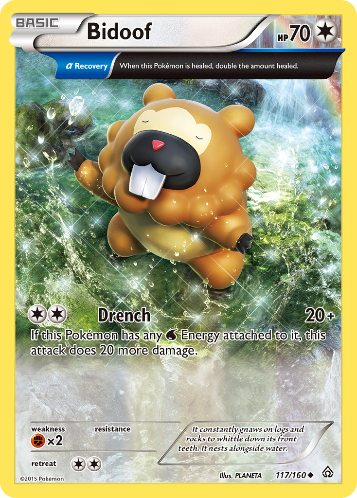 Bidoof (117/160) [XY: Primal Clash] | Exor Games Bridgewater