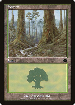 Forest (349) [Mercadian Masques] | Exor Games Bridgewater
