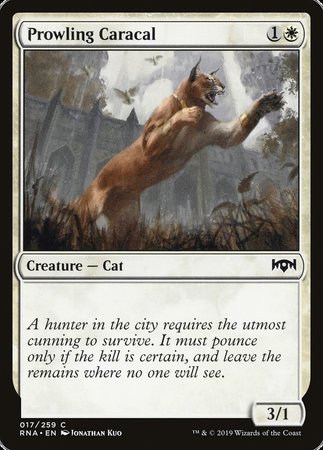 Prowling Caracal [Ravnica Allegiance] | Exor Games Bridgewater