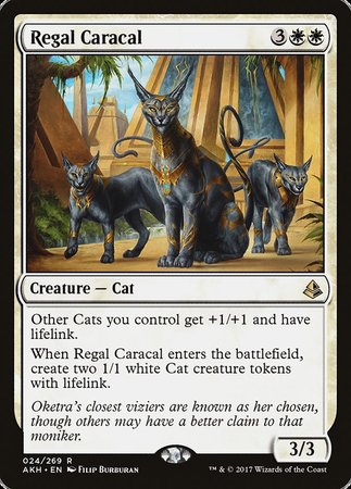 Regal Caracal [Amonkhet] | Exor Games Bridgewater