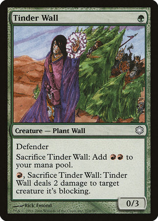 Tinder Wall [Coldsnap Theme Decks] | Exor Games Bridgewater