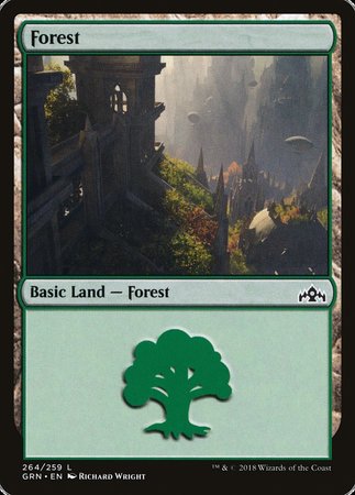 Forest [Guilds of Ravnica] | Exor Games Bridgewater