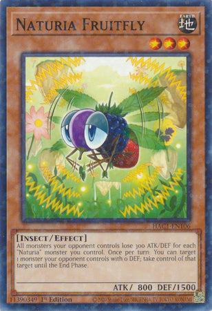 Naturia Fruitfly (Duel Terminal) [HAC1-EN106] Common | Exor Games Bridgewater