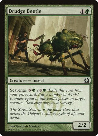 Drudge Beetle [Return to Ravnica] | Exor Games Bridgewater