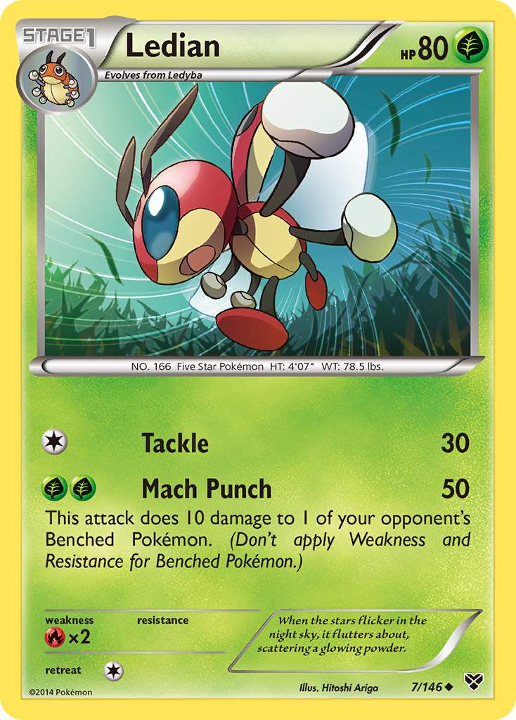 Ledian (7/146) [XY: Base Set] | Exor Games Bridgewater