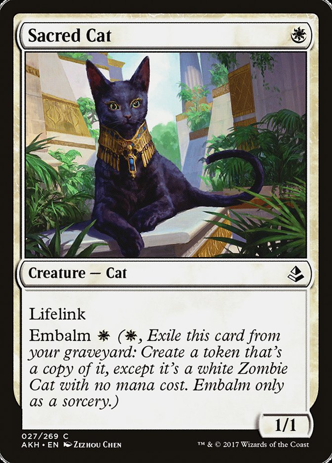 Sacred Cat [Amonkhet] | Exor Games Bridgewater